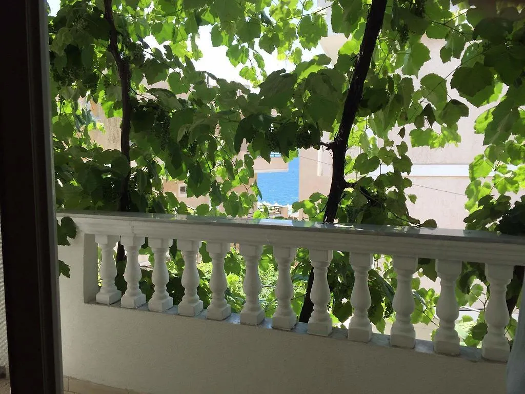Apartment Vila Violeta Sarande 0*,