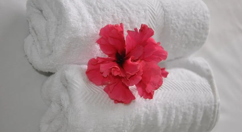 Apartment Vila Violeta Sarande